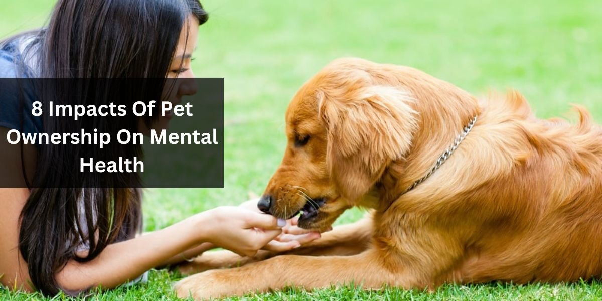 8 Impacts Of Pet Ownership On Mental Health