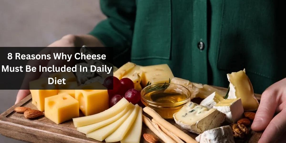 8 Reasons Why Cheese Must Be Included In Daily Diet