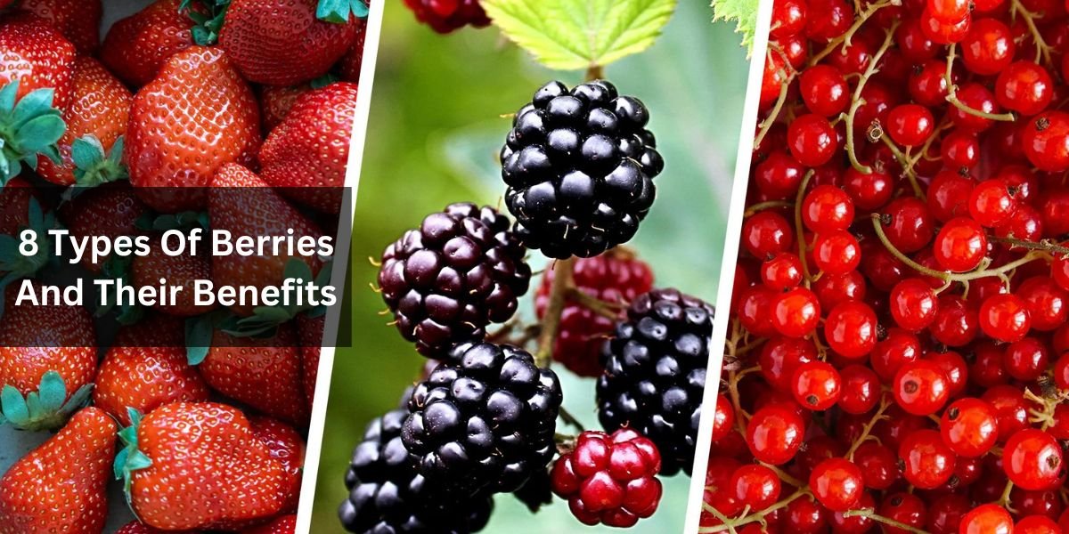 8 Types Of Berries And Their Benefits
