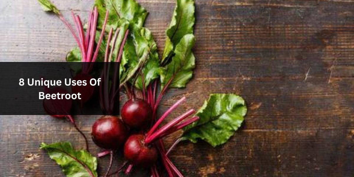 8 Unique Uses Of Beetroot