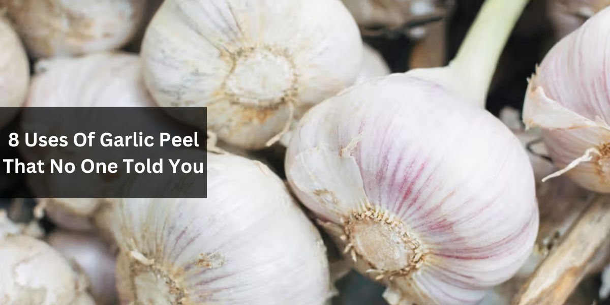 8 Uses Of Garlic Peel That No One Told You